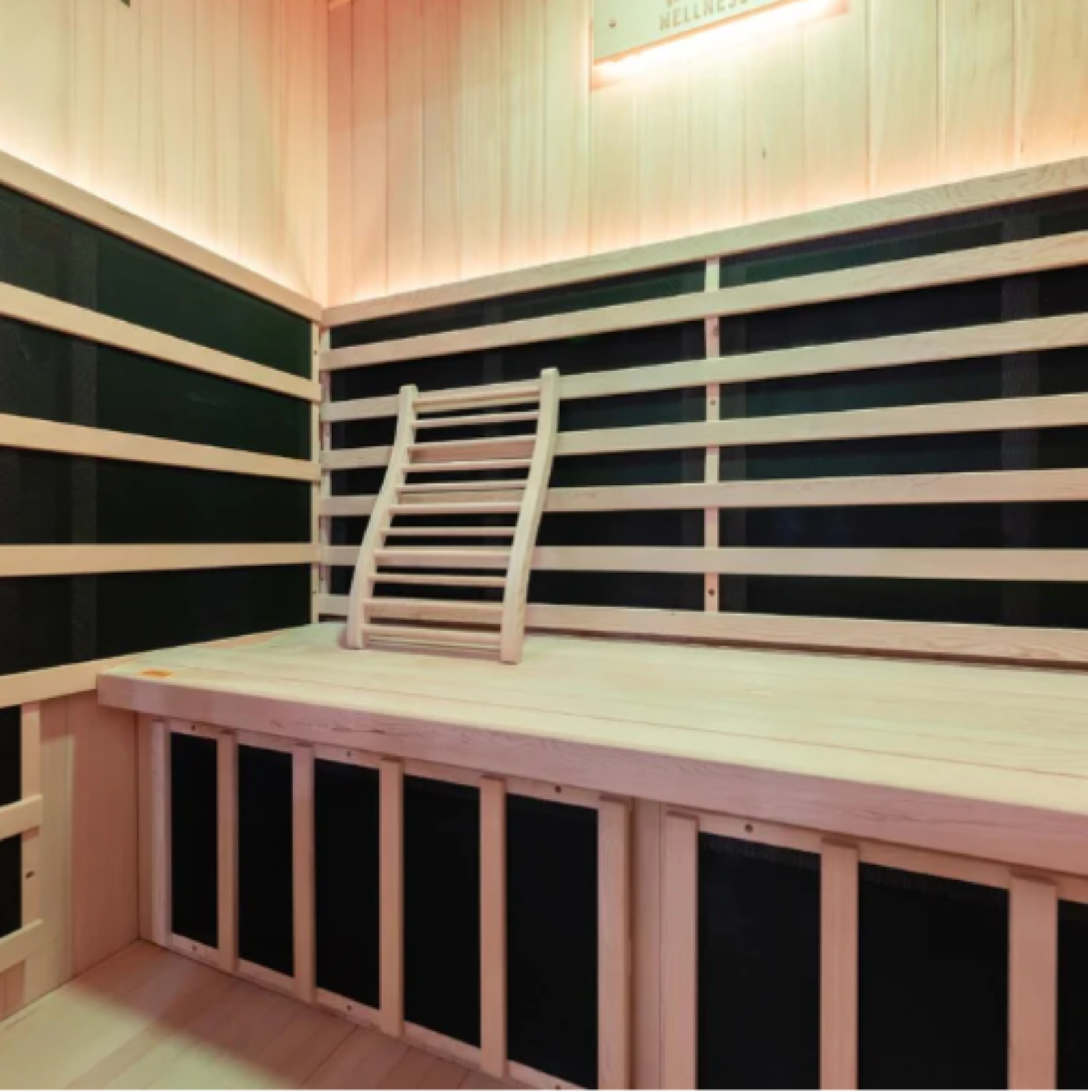 -Radiance Full Spectrum Sauna-Gym Direct