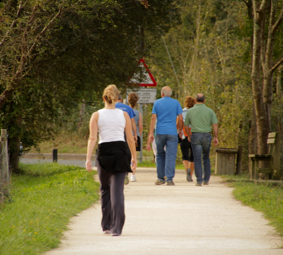 People walking on a path surrounded by trees.