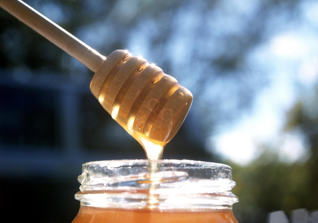 Honey, here are your health benefits!-Gym Direct