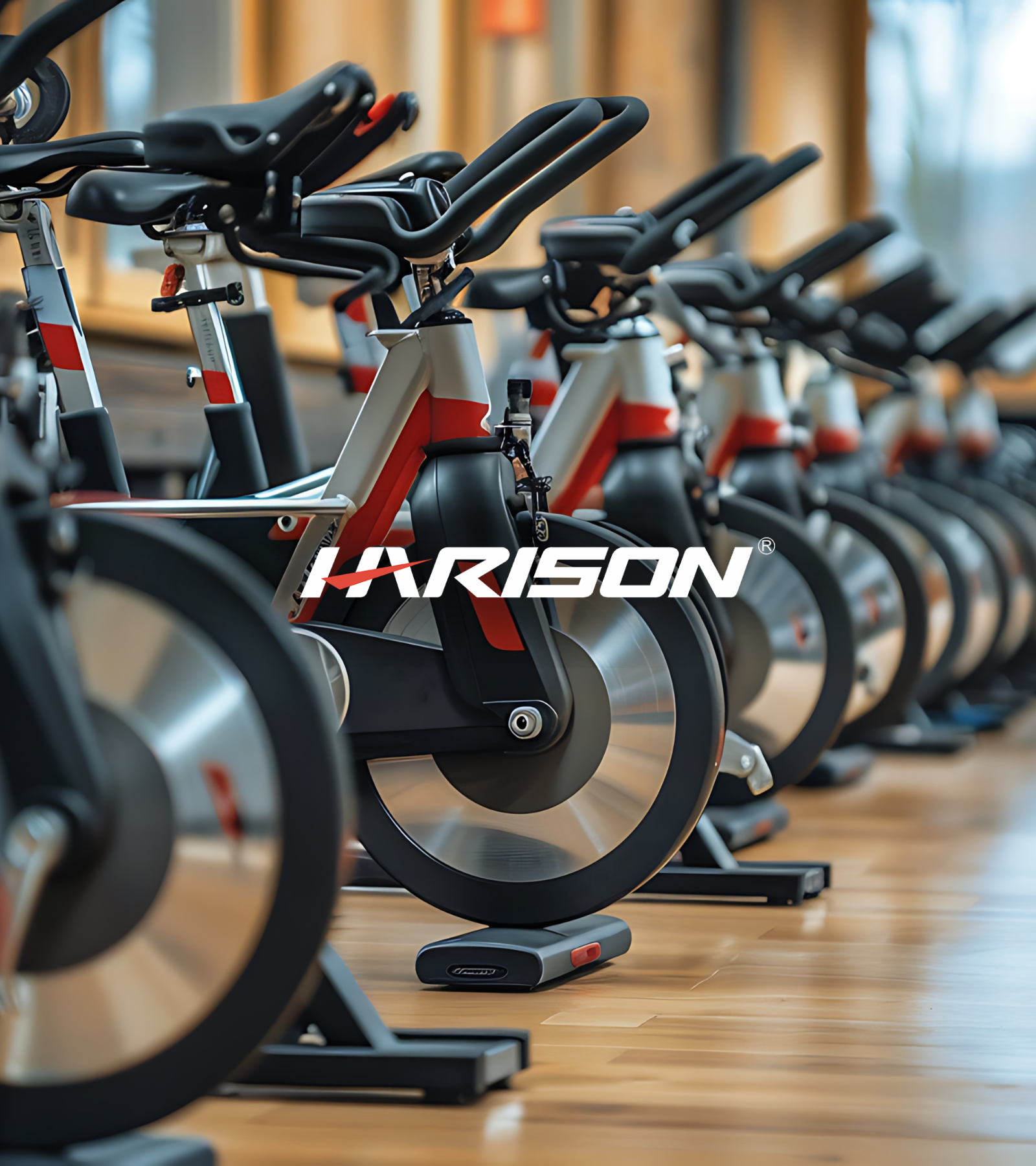 Harison Recovery Collection