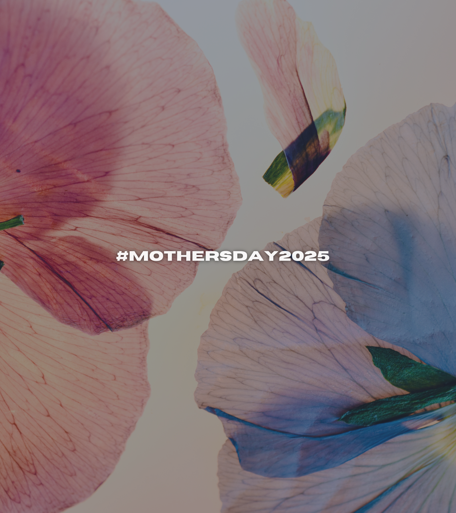 Up to 25% Off – Mother’s Day 2026