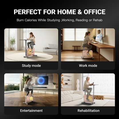 Harison Multi-functional Magnetic Exercise Bike