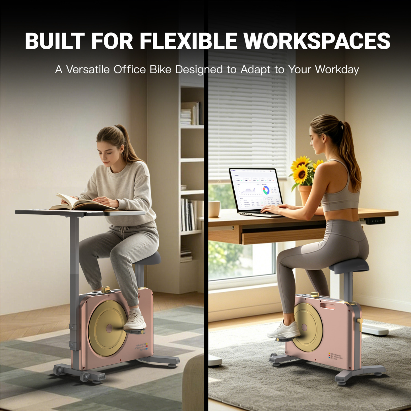 Harison Multi-functional Magnetic Exercise Bike