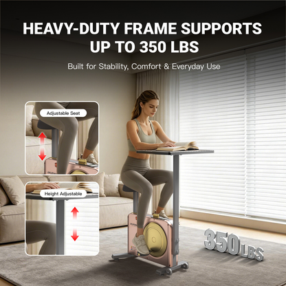 Harison Multi-functional Magnetic Exercise Bike