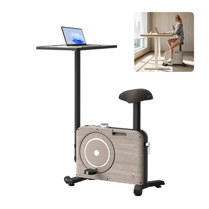 Harison Multi-functional Magnetic Exercise Bike