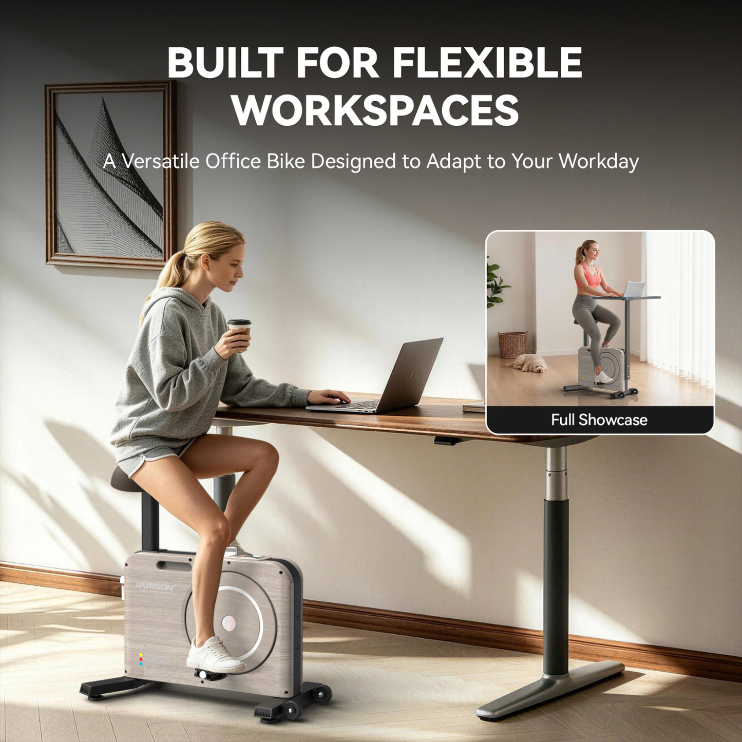 Harison Multi-functional Magnetic Exercise Bike