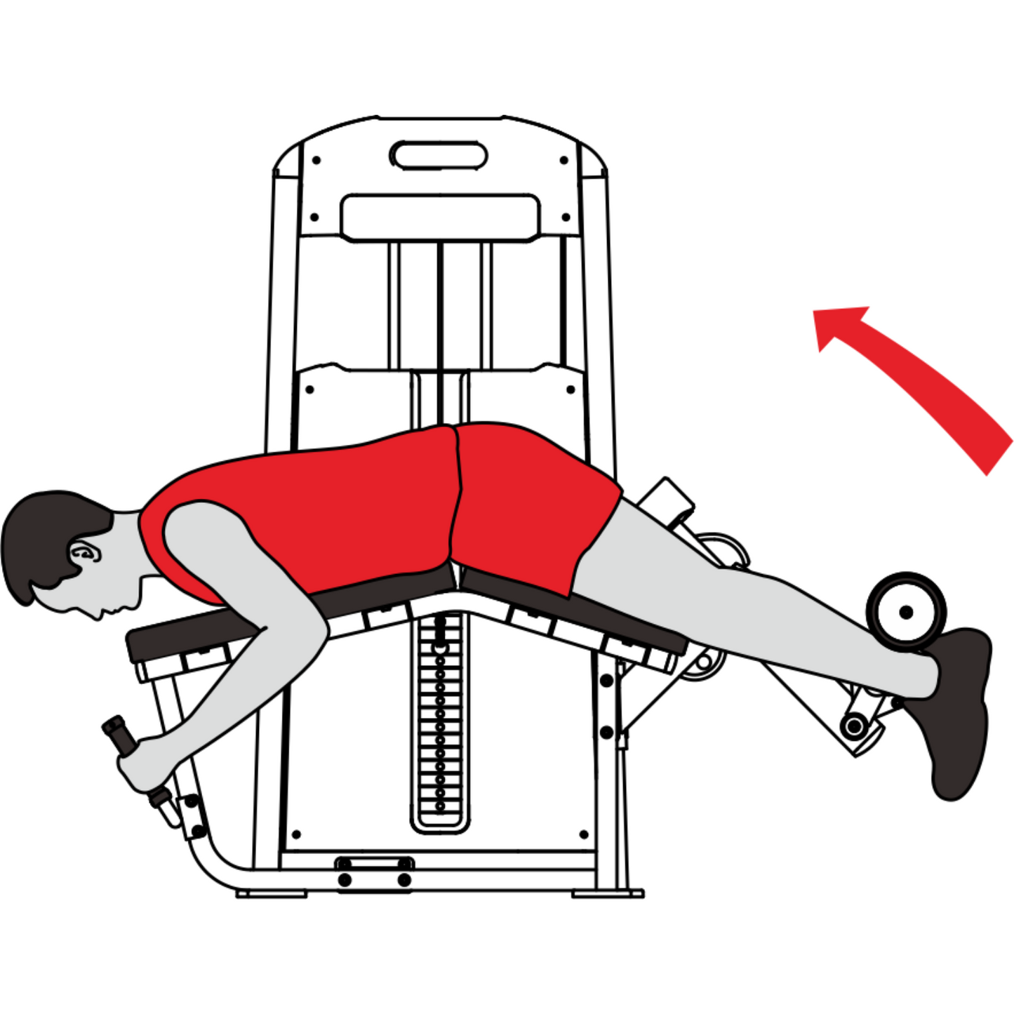 Harison HR-G10 Series Commercial HR-G1058 Leg Curl