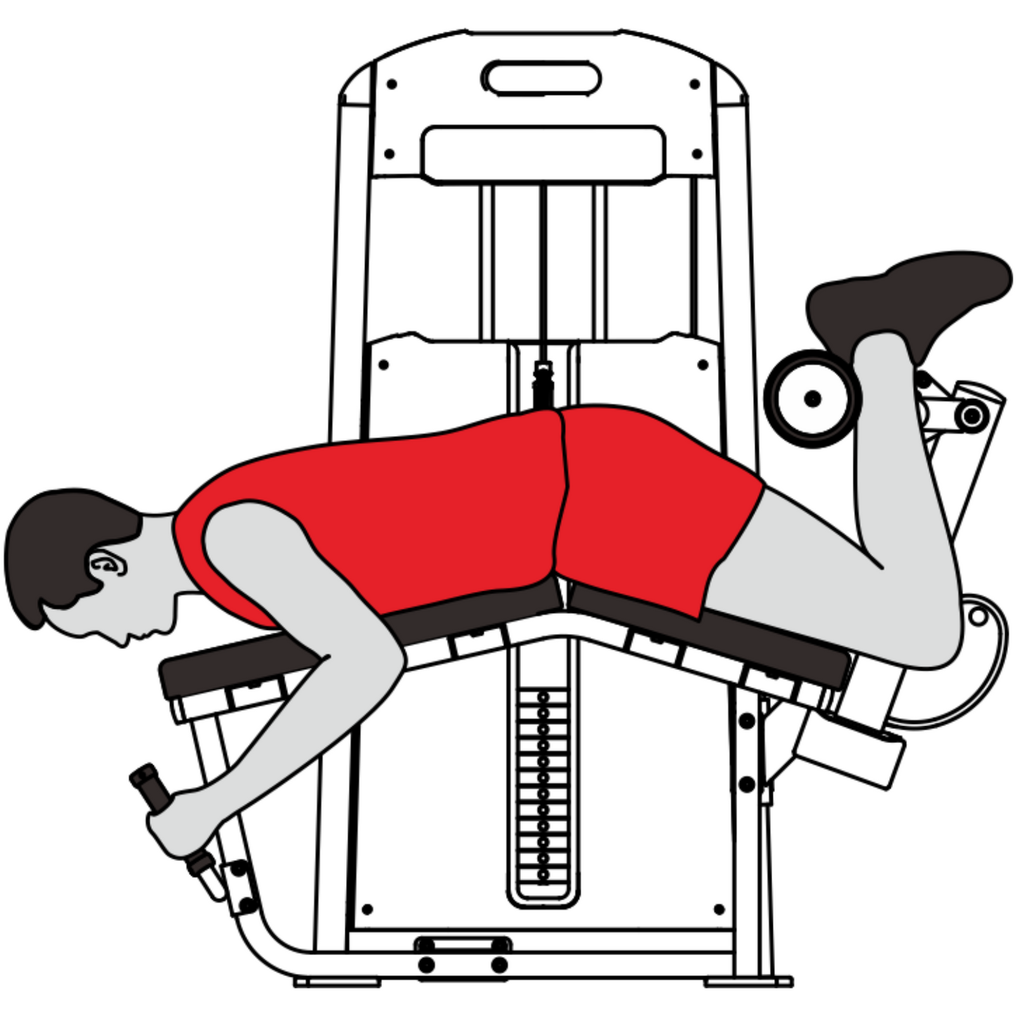 Harison HR-G10 Series Commercial HR-G1058 Leg Curl