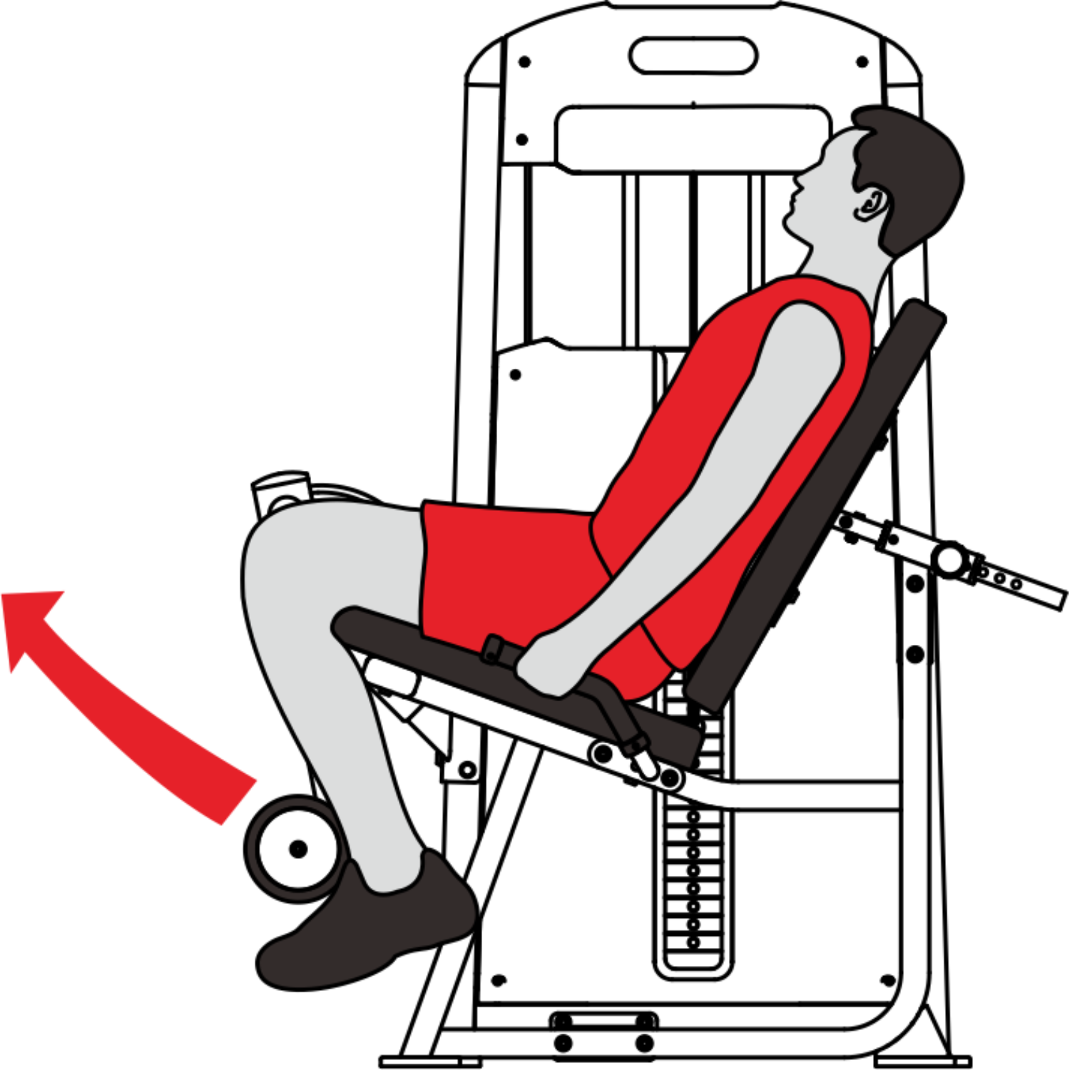-Commercial Leg Extension-Gym Direct