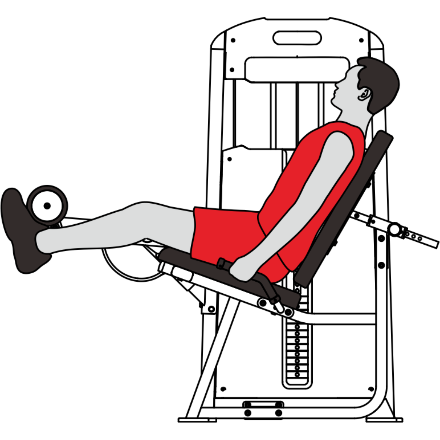 -Commercial Leg Extension-Gym Direct