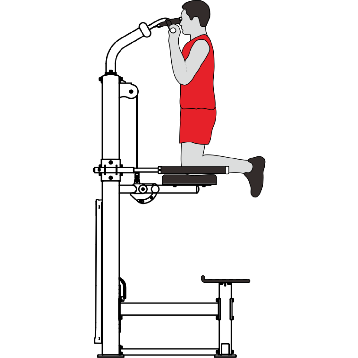 -Commercial Chin / Dip Assist-Gym Direct