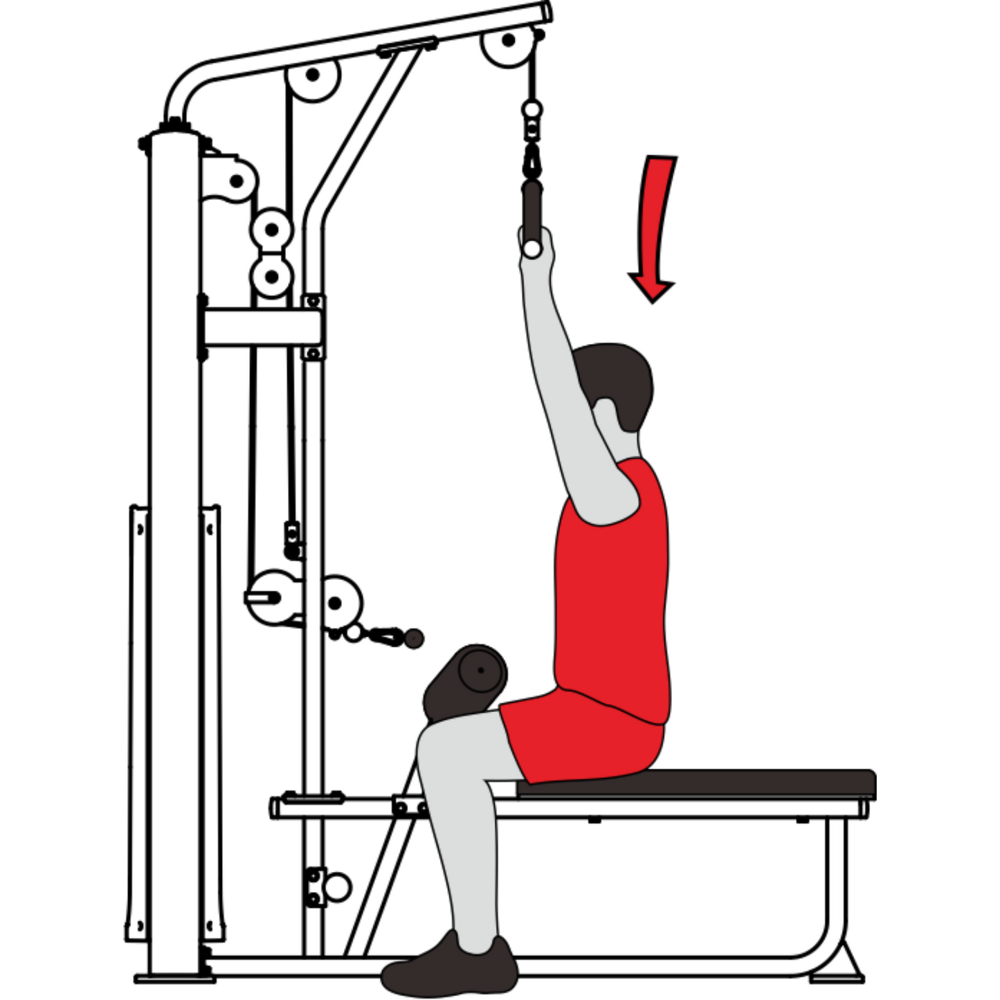 -Commercial Lat Pulldown/Seated Row-Gym Direct