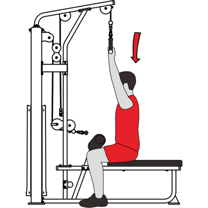 -Commercial Lat Pulldown/Seated Row-Gym Direct