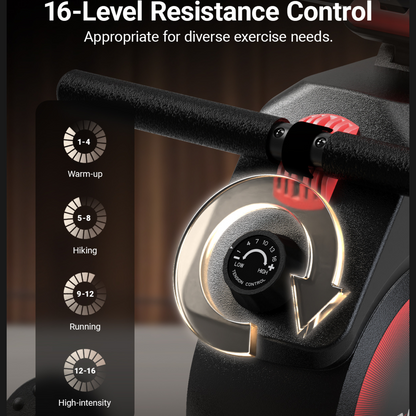 -Rowers-Gym Direct