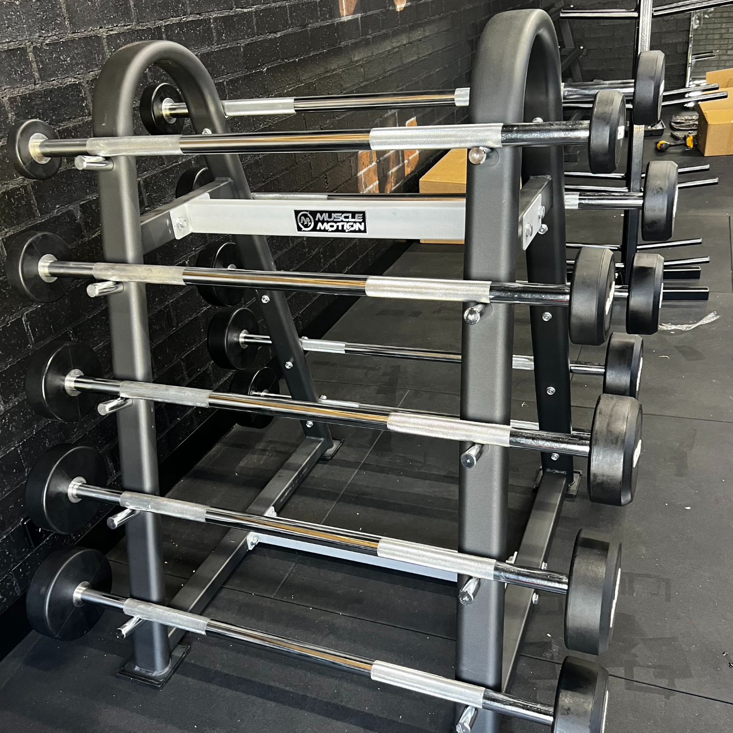 Prostyle Fixed Curl Barbell Rack (10kg-55kg) at GD