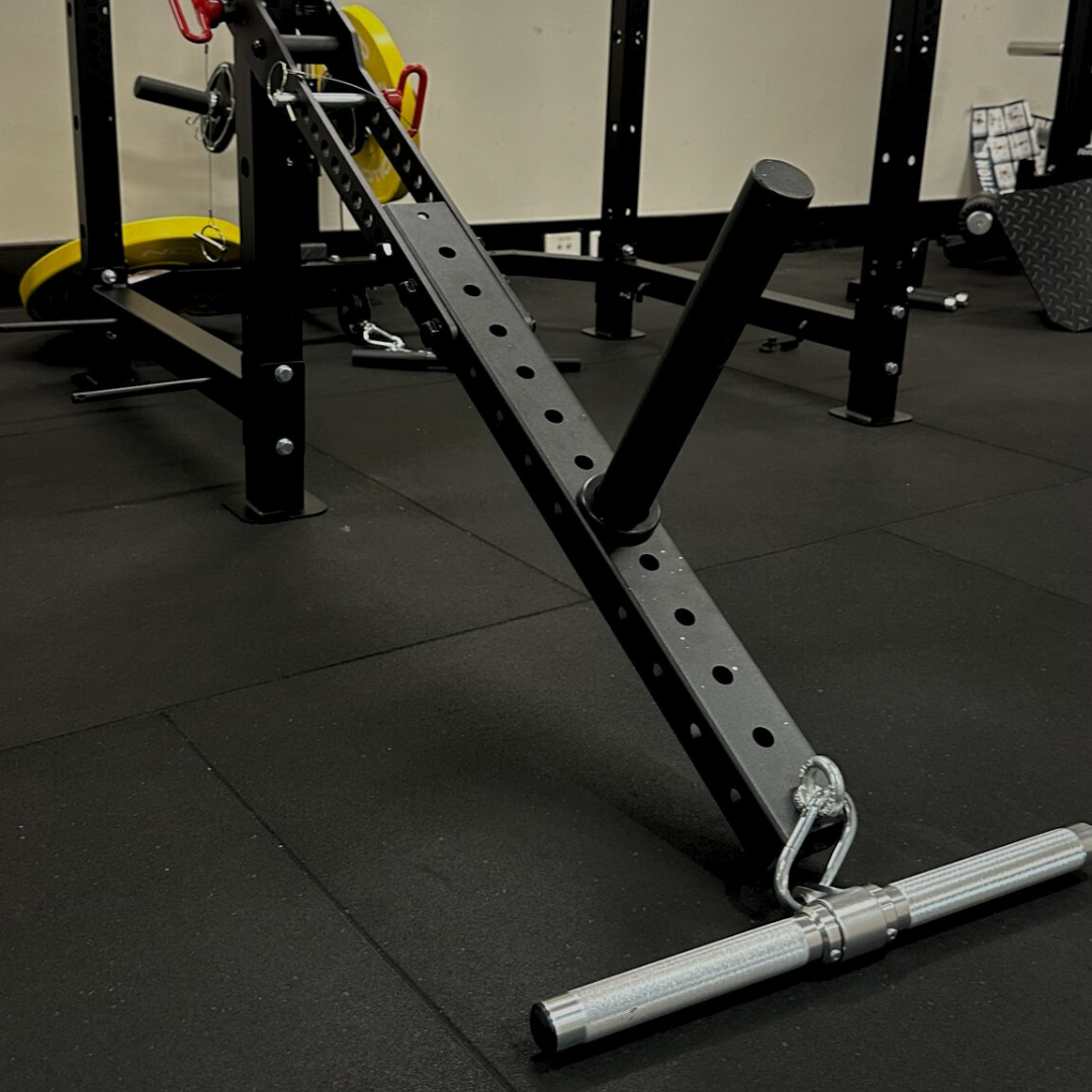 Rack mounted belt squat sale