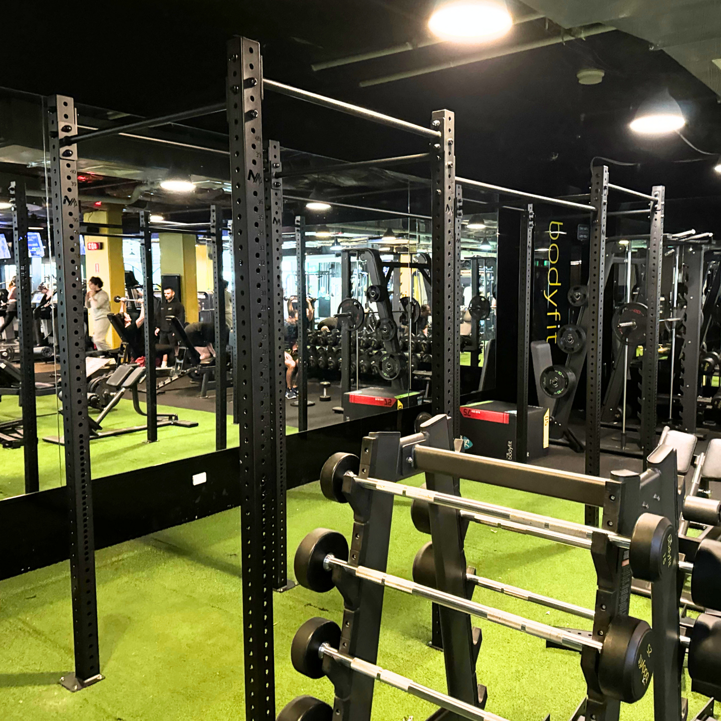 -Free Standing Rig-Gym Direct
