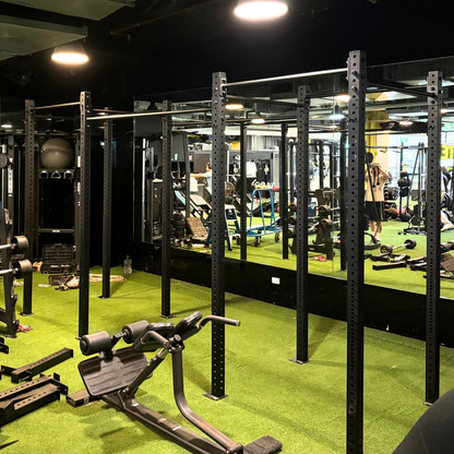 -Free Standing Rig-Gym Direct
