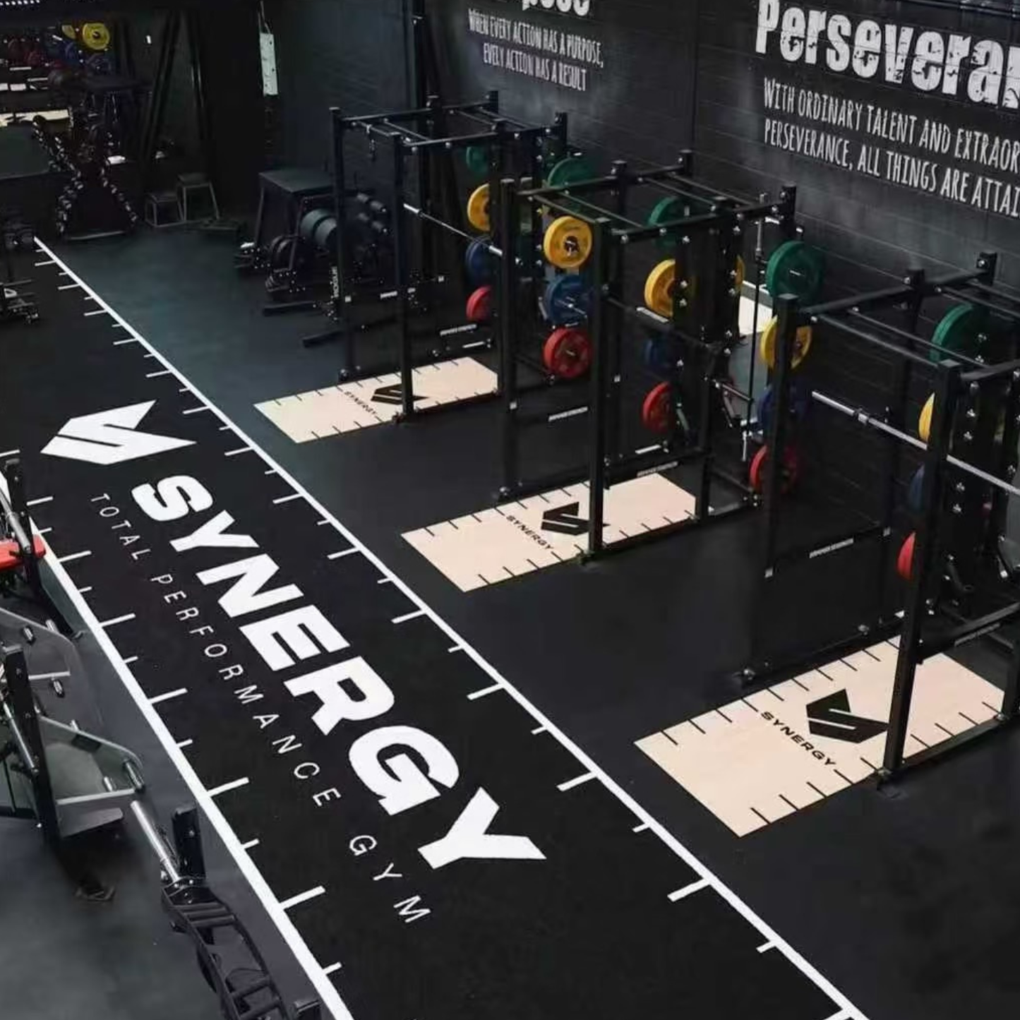 Custom Gym Sled Turf