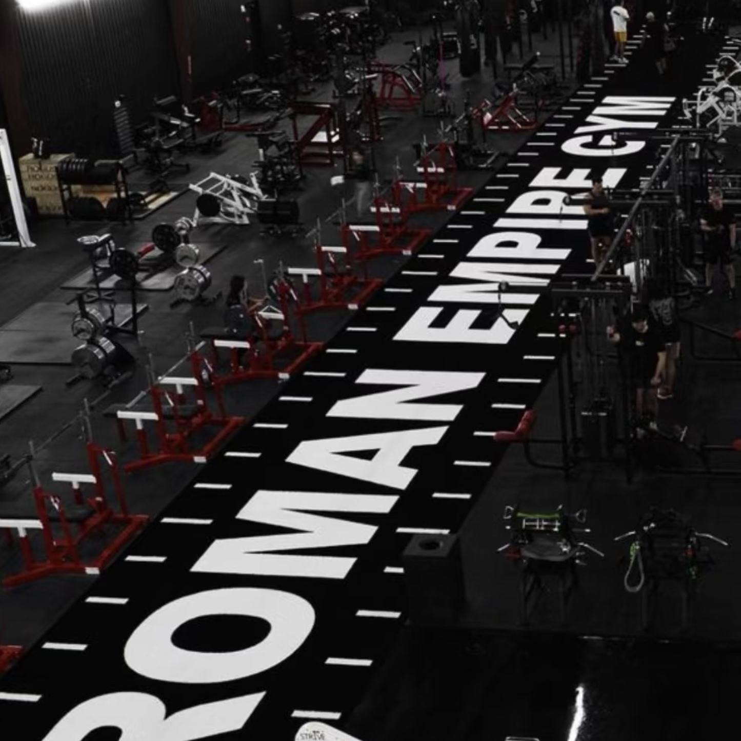 Custom Gym Sled Turf