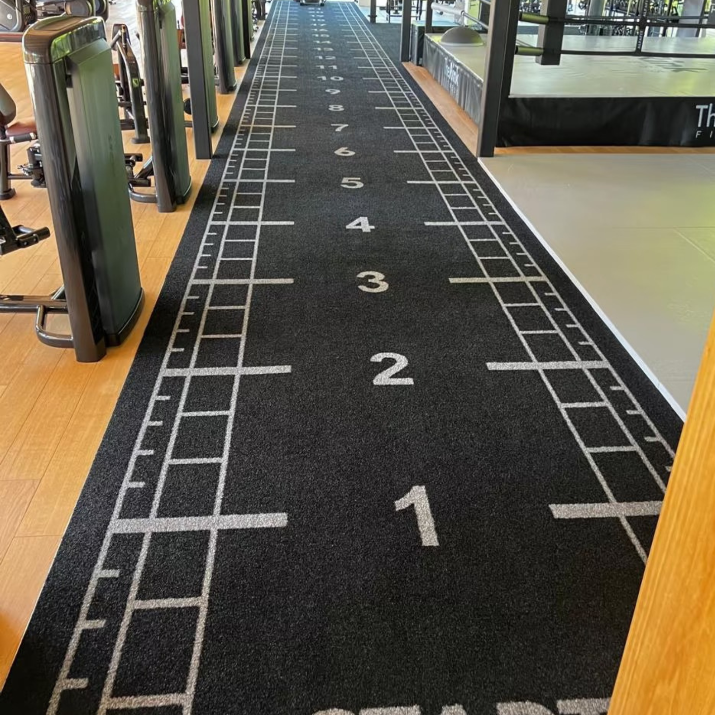 Custom Gym Sled Turf