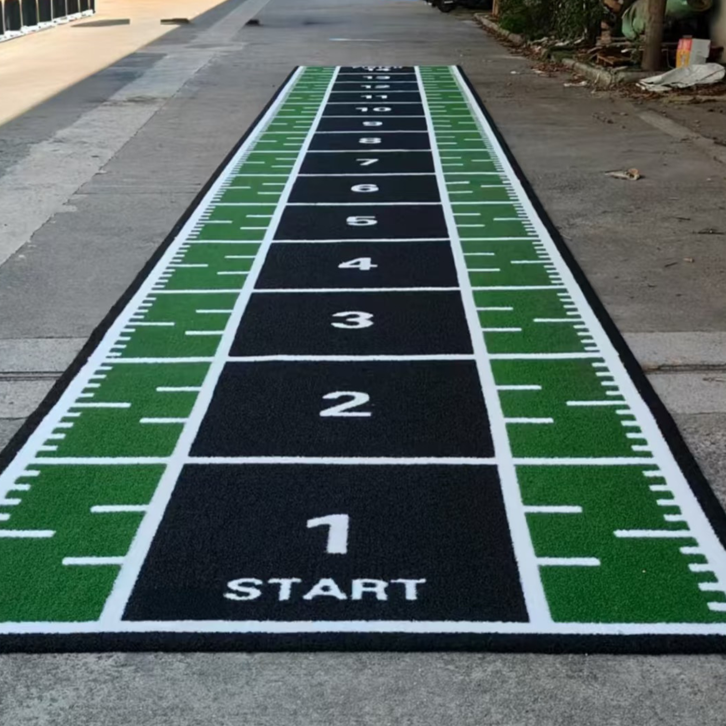 Custom Gym Sled Turf