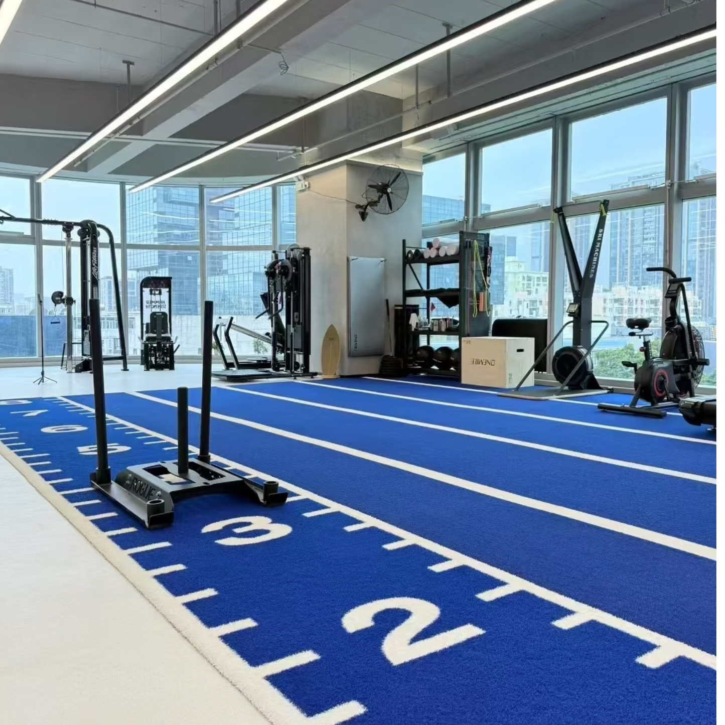 Custom Gym Sled Turf