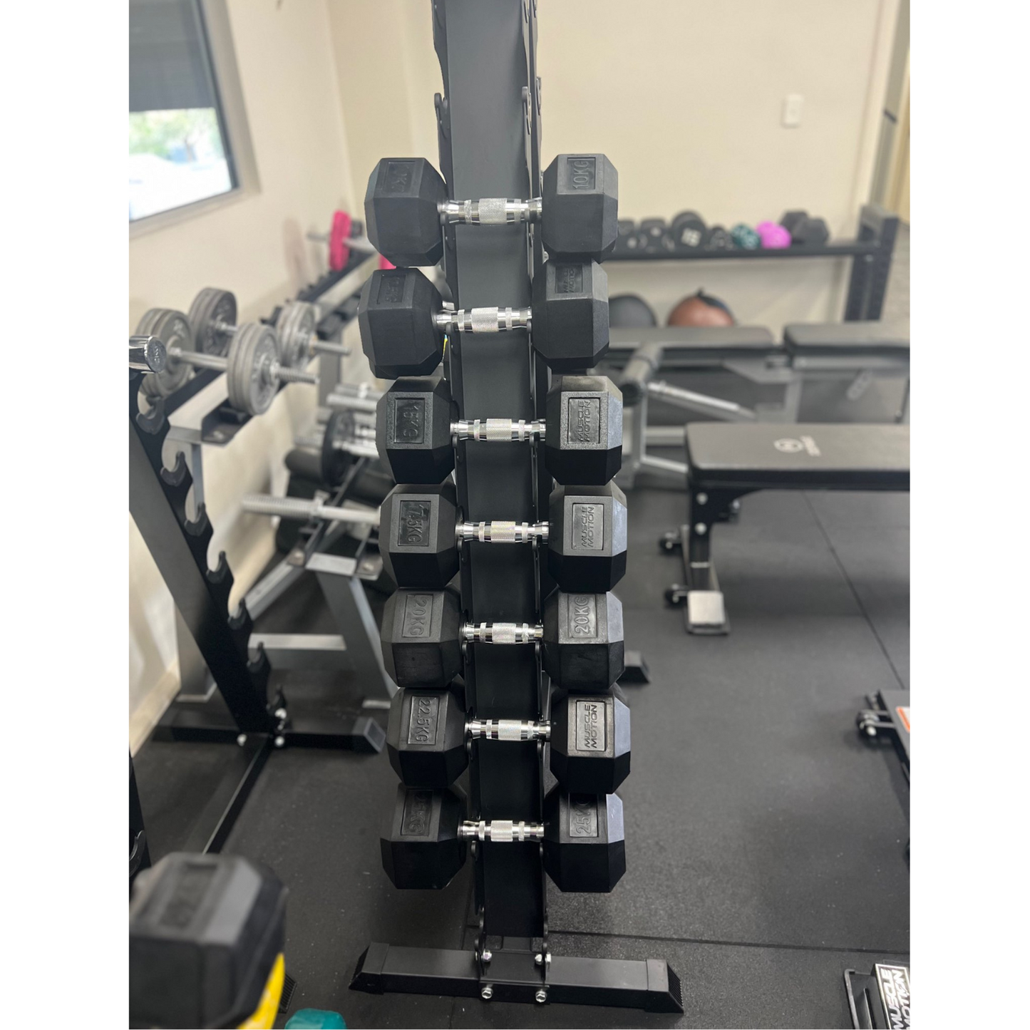 -Dumbbell Racks-Gym Direct