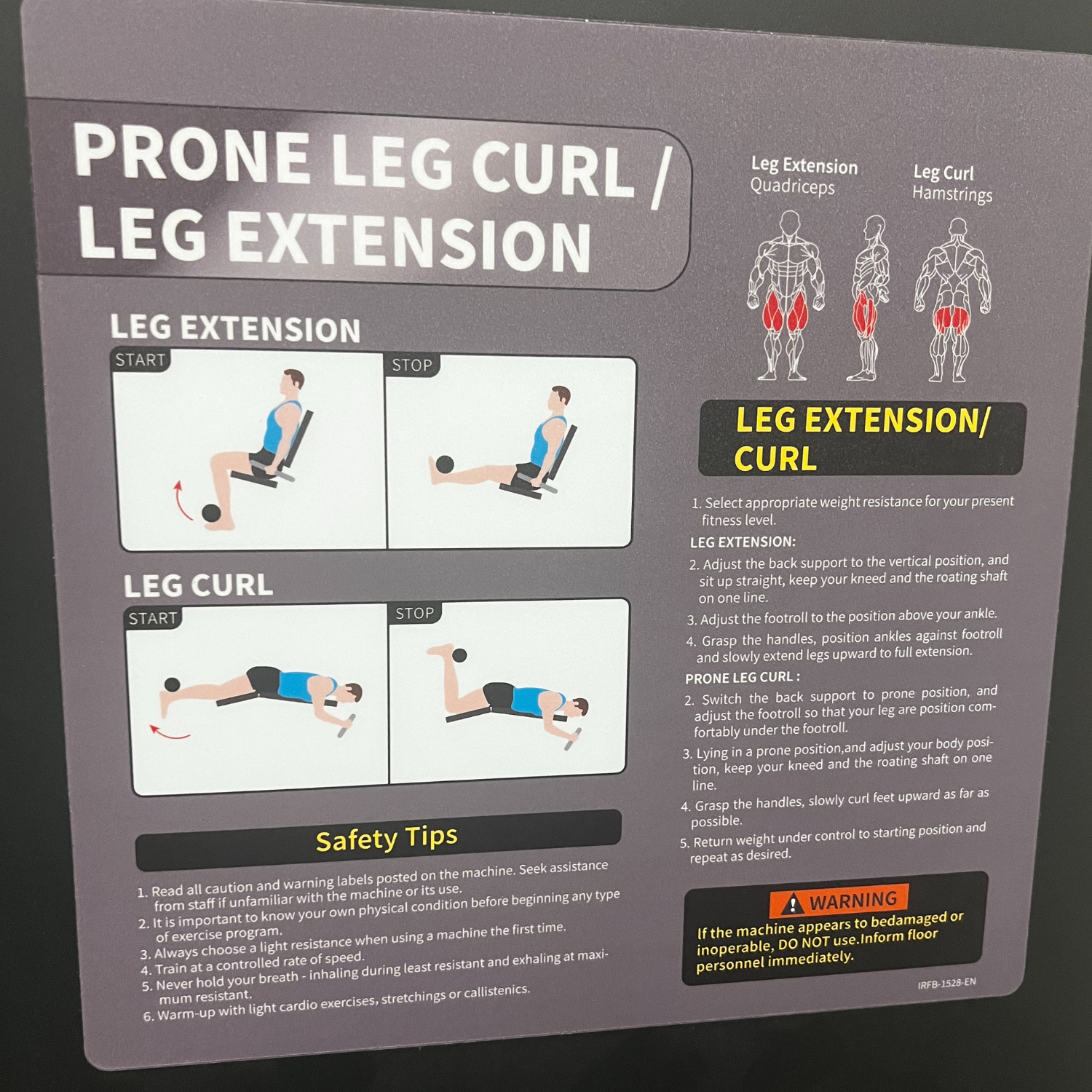 -Commercial Leg Curl Leg Extension-Gym Direct
