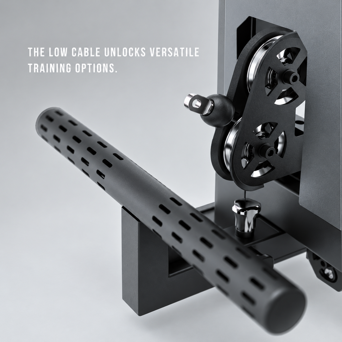 RMC R Series RMC-RW1P Wall Mounted Dual Ratio Functional Trainer