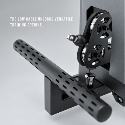 RMC R Series RMC-RW1P Wall Mounted Dual Ratio Functional Trainer