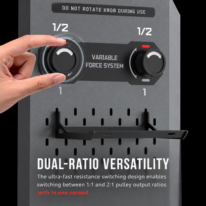 RMC R Series RMC-RW1P Wall Mounted Dual Ratio Functional Trainer