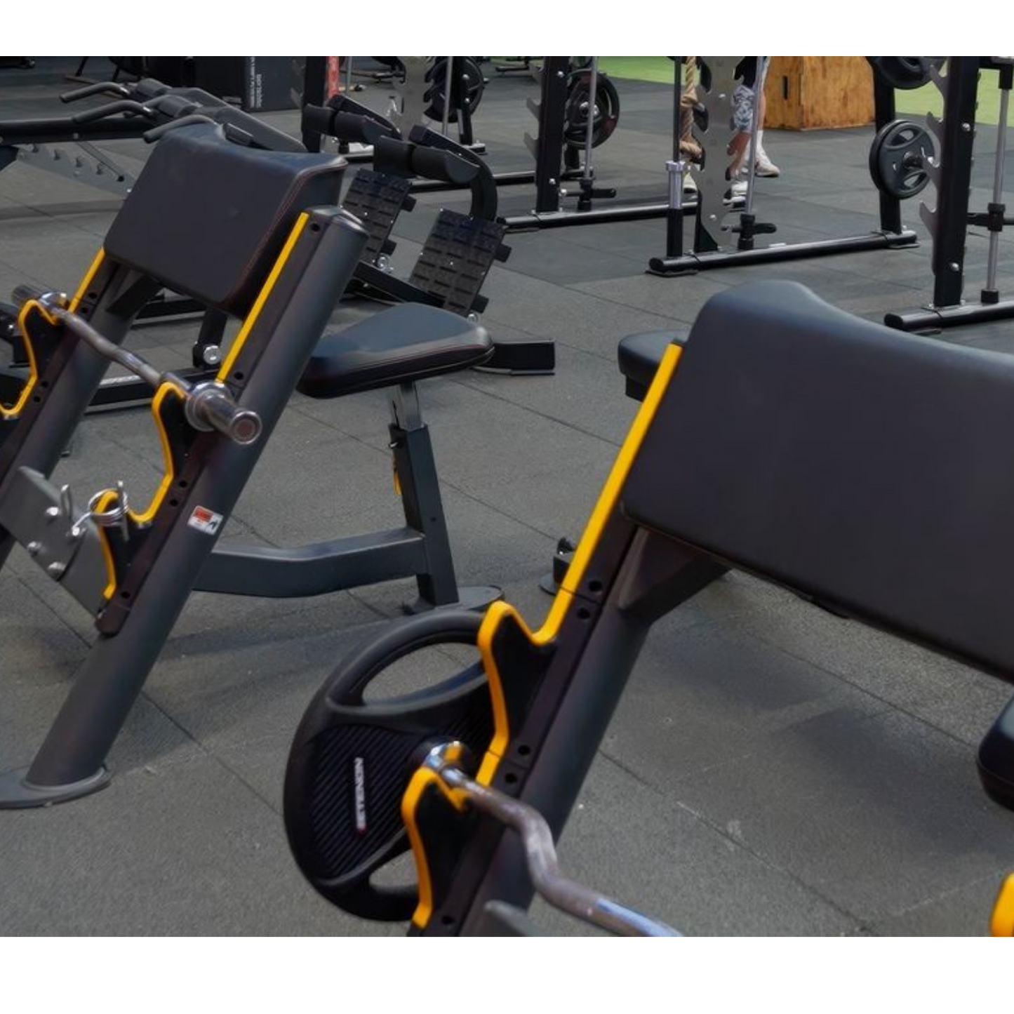 -Commercial Preacher Curl Bench-Gym Direct