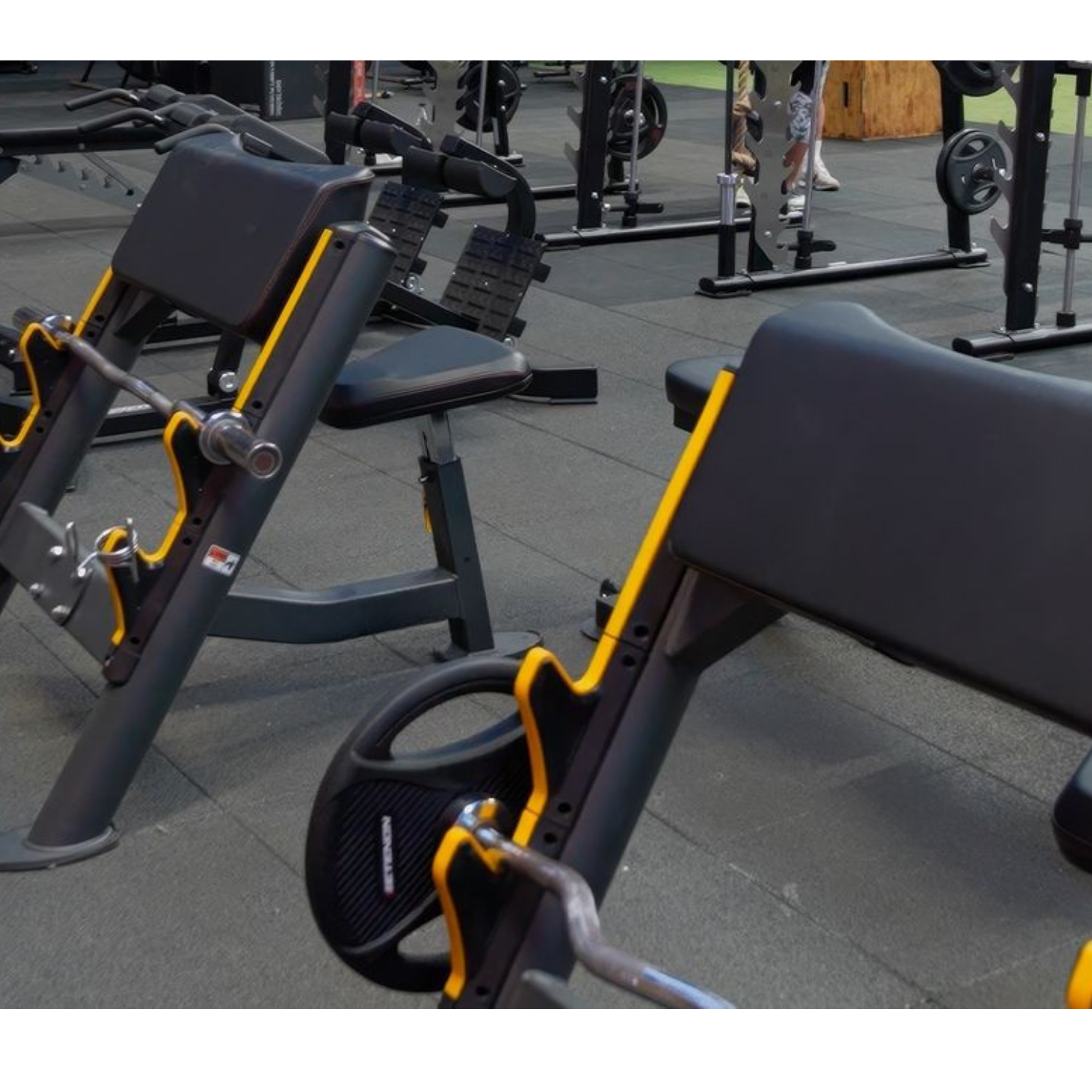-Commercial Preacher Curl Bench-Gym Direct