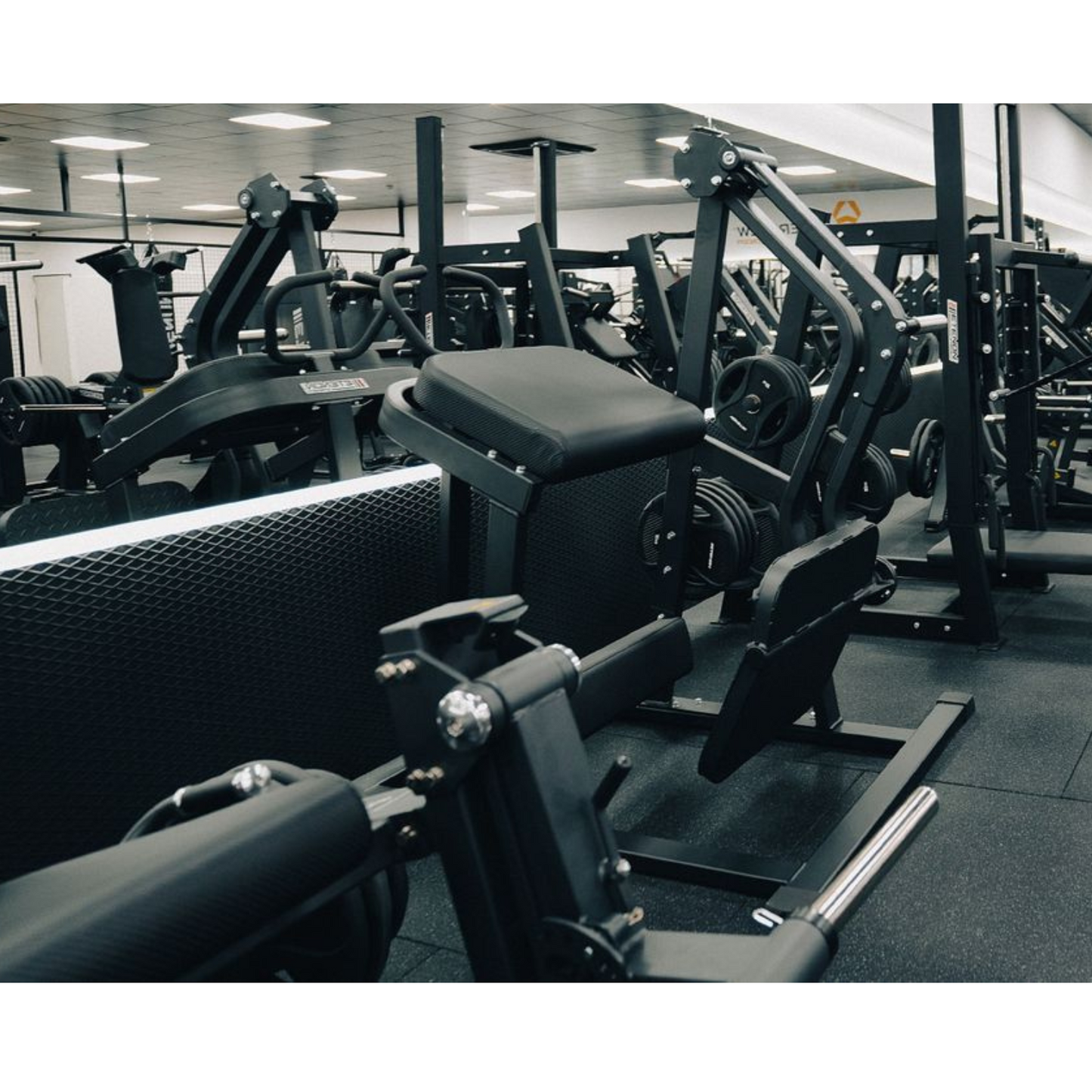 RMC Rear Kick Glute - Plate Loaded - VOLTZ Series