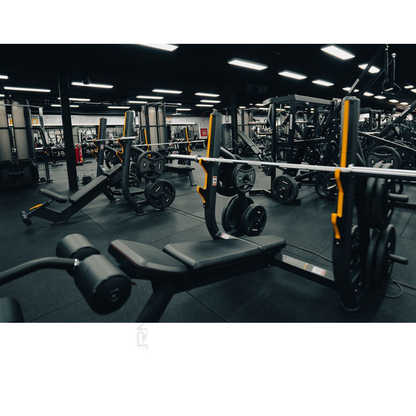 RMC Bench Press Decline - VOLTZ Series