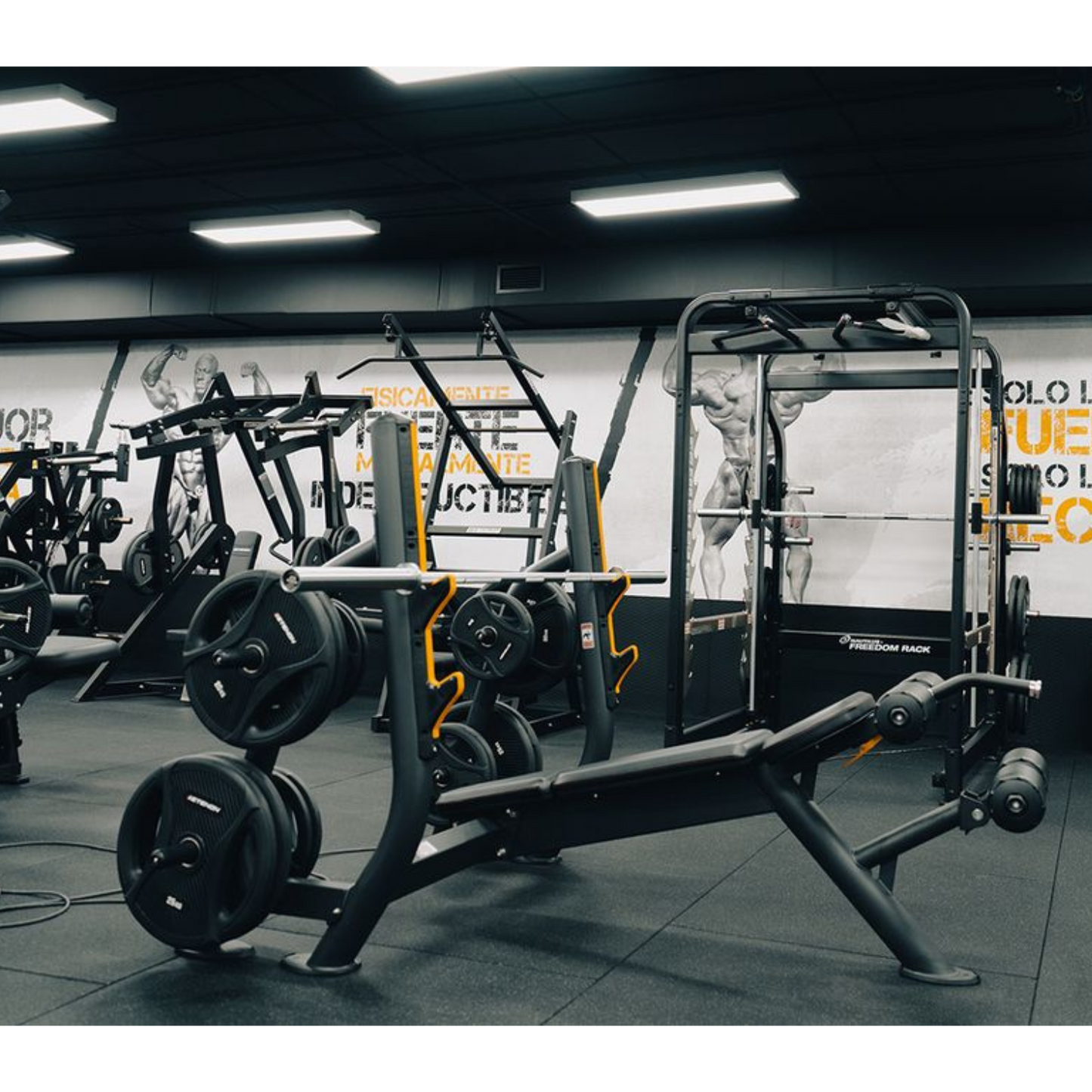 RMC Bench Press Decline - VOLTZ Series