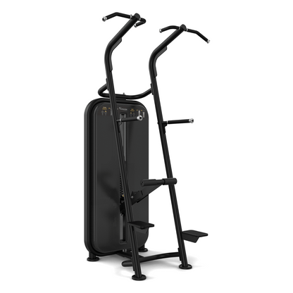 Vision Fitness Chin / Dip Assist