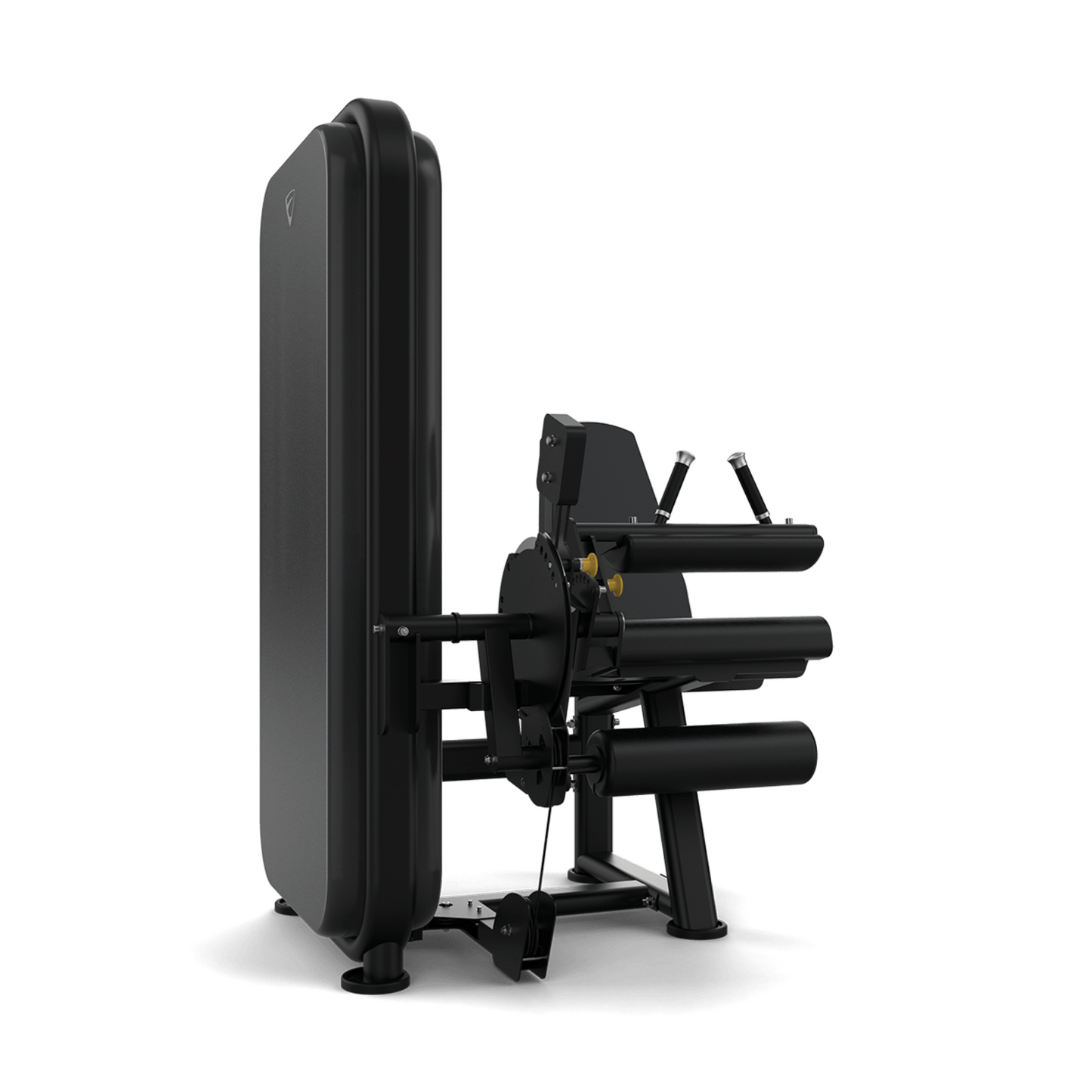 Vision Fitness Leg Extension / Leg Curl