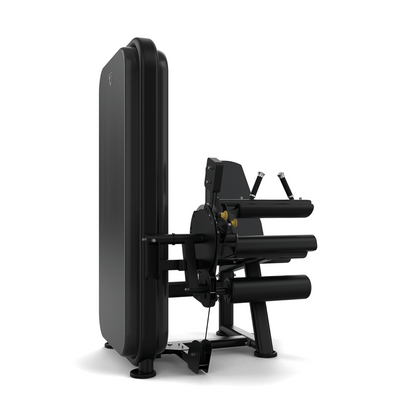 Vision Fitness Leg Extension / Leg Curl