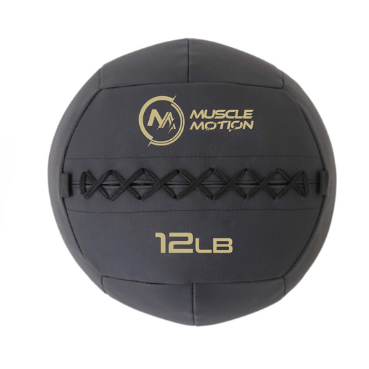 Proform wall online ball