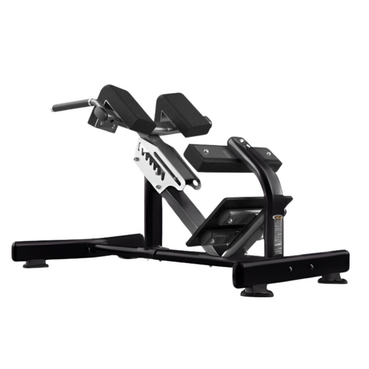 Realleader USA XRFW1006 Commercial HyperExtension