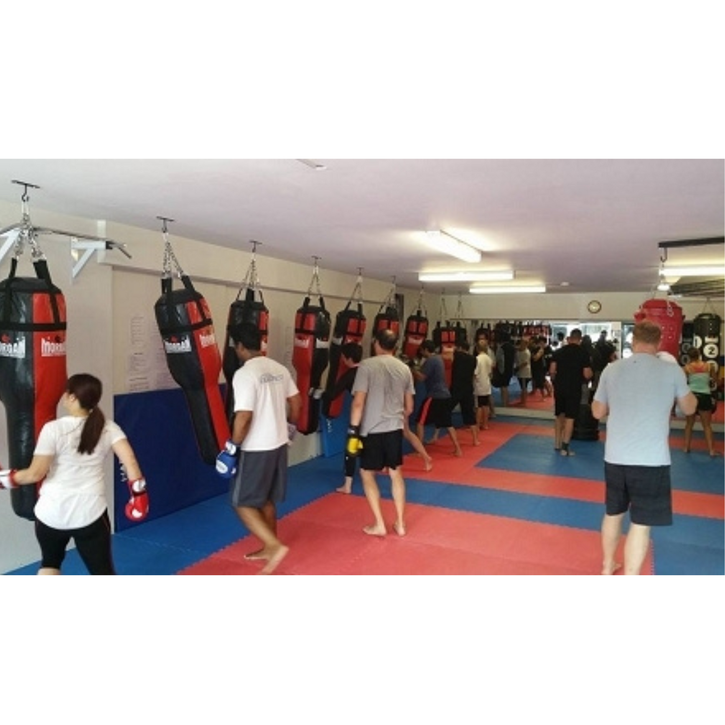 Morgan 40kg Angle Punch Bag
