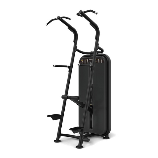 Vision Fitness Chin / Dip Assist
