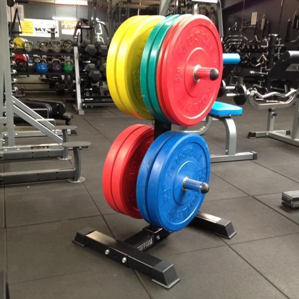 -Coloured Bumper Plates-Gym Direct
