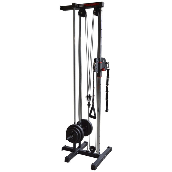 Muscle Motion Wall Mounted Dual Pulley Tower FT1003 at GD