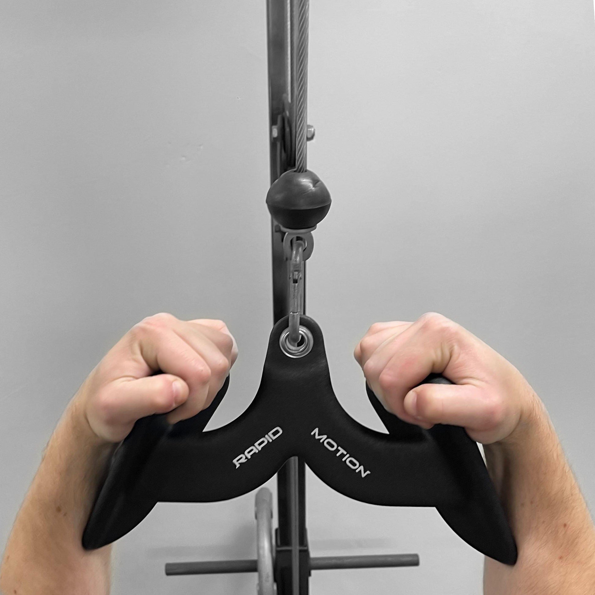 Muscles Worked Pulldown Attachment Lat Pulldown D Handle Rapid