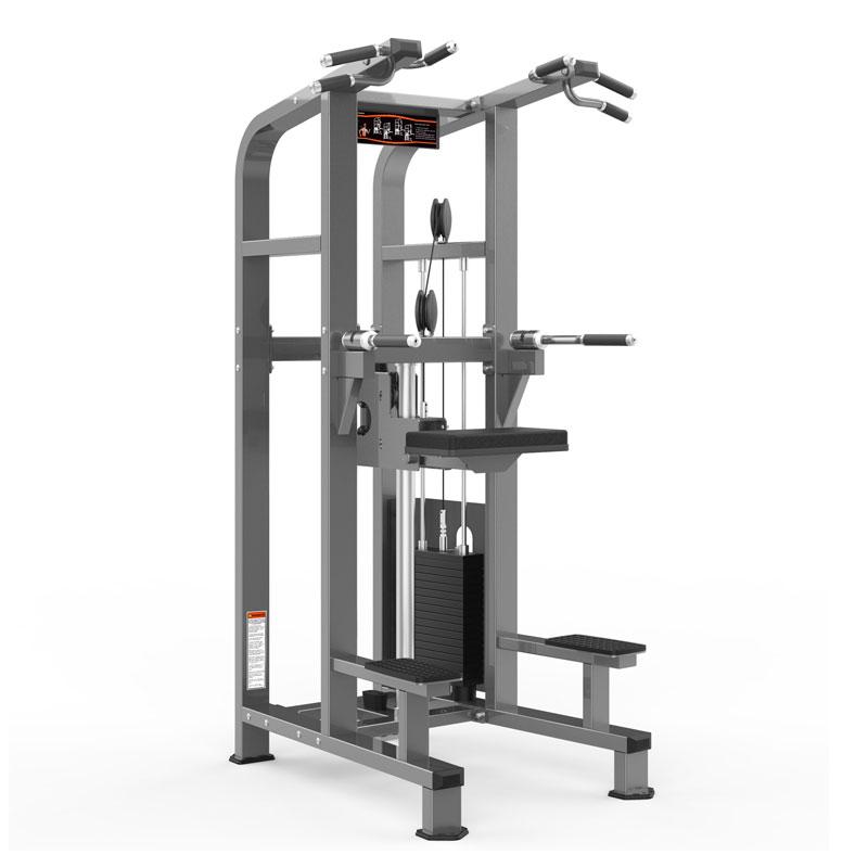 Commercial Chin Dip Assist-Commercial Dual Function-Gym Direct